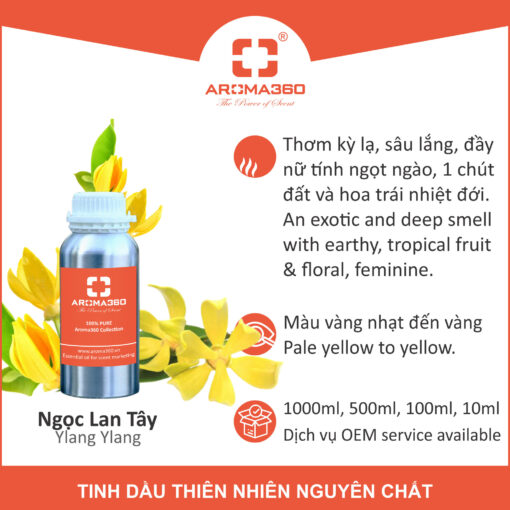 Tinh dầu Ngọc Lan Tây Aroma360