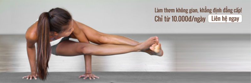 Làm thơm cho trung tâm Yoga, Gym & Fitness