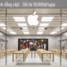 Làm thơm cho Showroom, Triển lãm