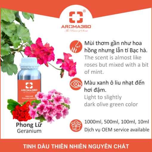 Tinh dầu phong lữ Aroma360